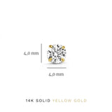 Set di Orecchini in Pietra Dara Brillane | Oro