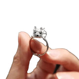 Anello Regolabile in Stile Retro per Cani